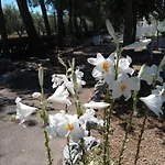 Raggio Di Sole 3*