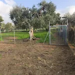 Raggio Di Sole
