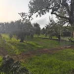 Raggio Di Sole