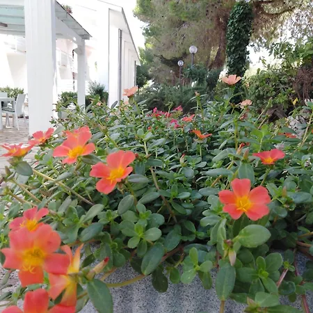 Raggio Di Sole Apart Otel