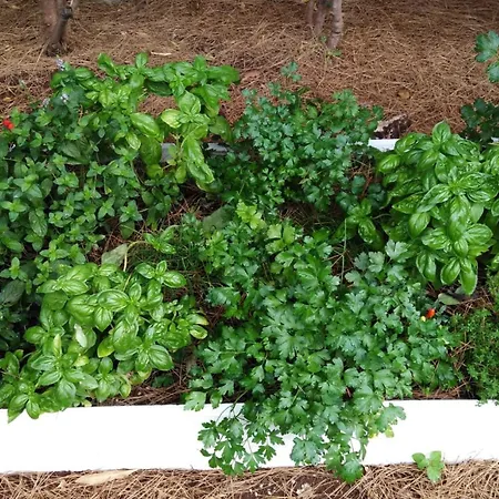 Raggio Di Sole 3* Alberobello