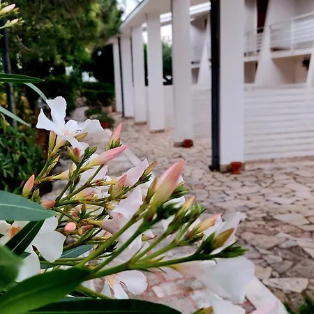 Raggio Di Sole Alberobello