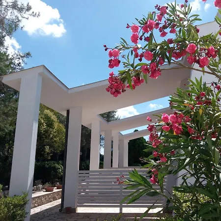 Apart Otel Raggio Di Sole 3*