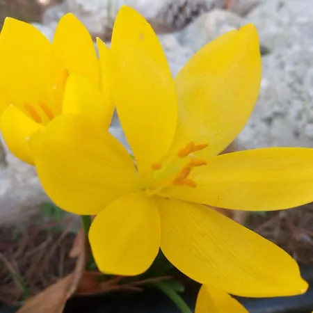 Aparthotel Raggio Di Sole Alberobello