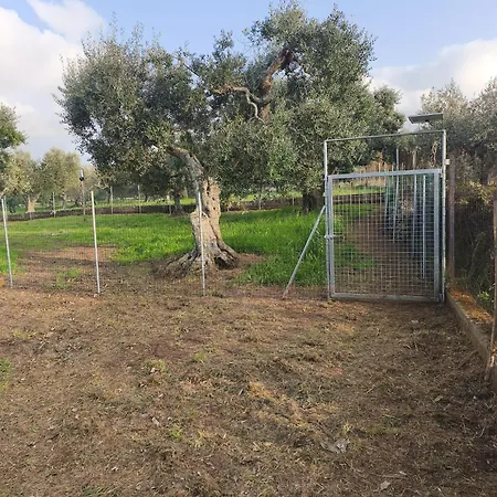 Raggio Di Sole