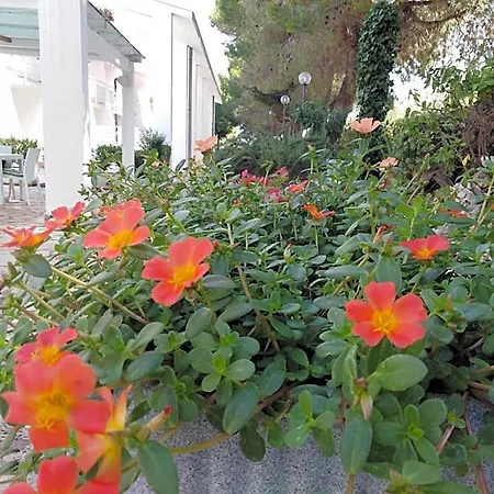 Raggio Di Sole Lejlighedshotel 4*