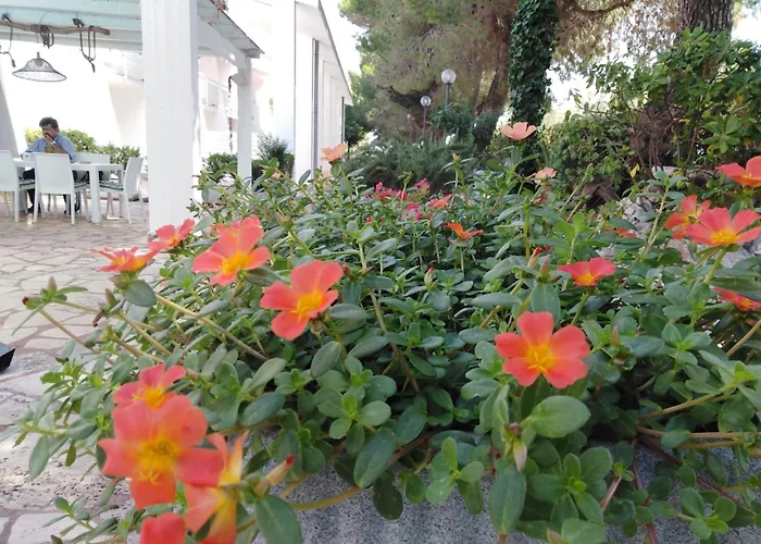 Raggio Di Sole Appart hôtel