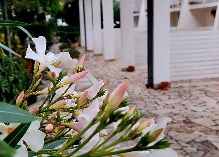 Raggio Di Sole Alberobello